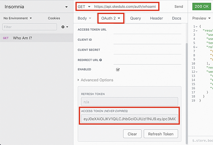 Auth settings using Insomnia