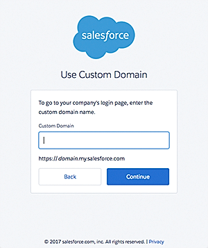 The Custom Domain login screen.